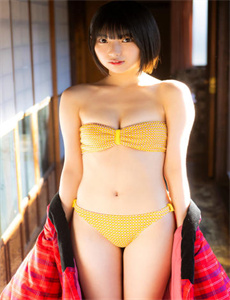 重庆谍战剧情/徐子尧