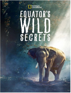 心动从冷面老板偏爱开始